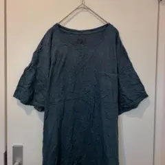 フルーツオブザルーム Tシャツ クルーネック 半袖 無地 2XL 藍 綿