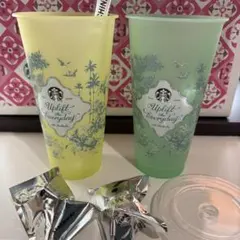 スタバ　ミステリーカラーチェンジングリユーザブルコールドカップキャップ　グリーン