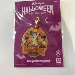 ファスナーチャーム  ディズニーランド