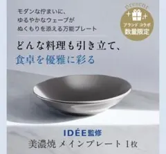 【新品未開封】アテニア IDÉE監修 美濃焼メインプレート皿のサムネイル