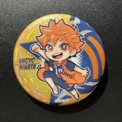 2025年最新】日向翔陽缶バッジの人気アイテム - メルカリ