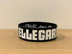 2025年最新】国内アーティスト：ellegarden ラバーバンドの人気