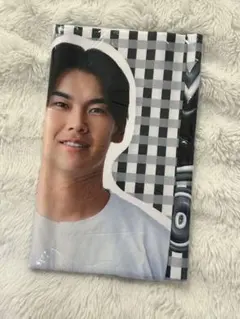 Item thumbnail for item b6d7bb72-a83d-47c1-8761-b2982a739a19