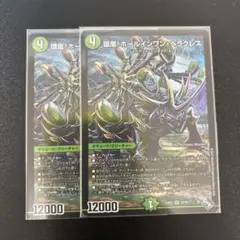 環嵐　ホールインワン　ヘラクレス　2枚セット