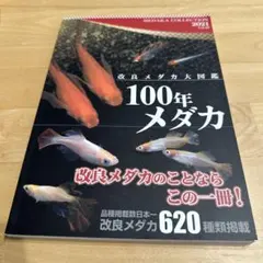 メダカ 趣味