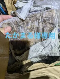 たかまる様専用　5キロ8000円