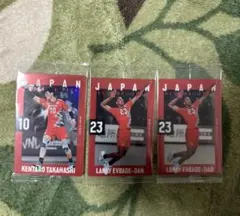 日本代表 バレーボール トレーディングカード セット
