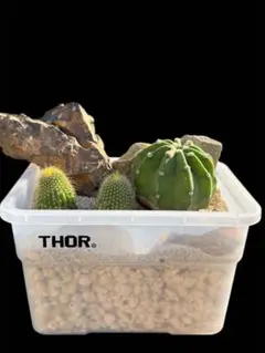 2025年最新】ハビタットスタイルの人気アイテム - メルカリ