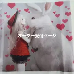 限定パネル生地 女の子とうさぎ オーダー受付ページ ポーチ ハンカチ