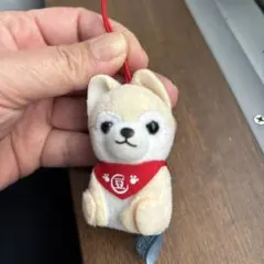 豆柴三兄弟　ぬいぐるみキーホルダー