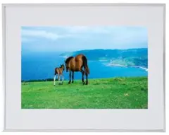 Item thumbnail for item e0f8d5af-6b92-402e-9532-1d87227002d4