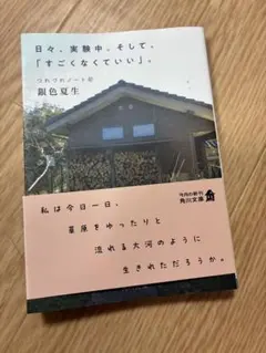 日々、実験中。そして、「すごくなくていい」。 銀色夏生