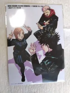 Hys様 リクエスト 2点 まとめ商品