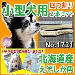 小型犬用 エゾ鹿の角 4半割り２本 北海道産 犬のおもちゃ 17212のサムネイル