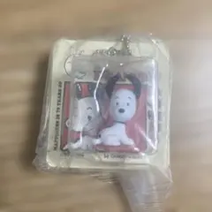 PEANUTS パッケージミニチュアコレクション 1950s スヌーピー