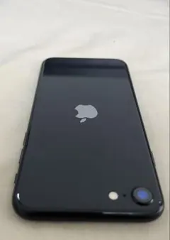 Item thumbnail for item 737f305c-834f-42df-9ba5-bb9c9e113dae