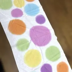 Item thumbnail for item 6acb8ef1-c01d-4bf1-abf0-5e6f7c9da08e