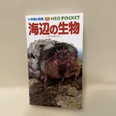 海辺の生物 NEO POCKET 小学館の図鑑