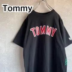 レア MLB ニューヨークヤンキース トミーヒルフィガー コラボ tシャツ L