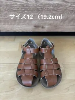 ソルトウォーターSaltWaterSandalsシャークサイズ12(19.2㎝)のサムネイル