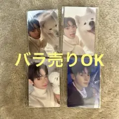 Item thumbnail for item e9af25d1-28aa-4100-a700-7c09e6652d47