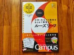 Item thumbnail for item fde2ade4-aa9f-4530-bf14-6f5a7bca9706