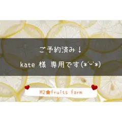 【ꕤ584】不知火デコ【訳あり品☆加工原料】10kg 熊本みかん