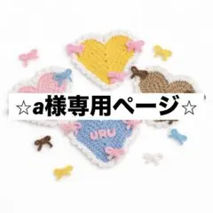 ⭐︎a様専用ページ⭐︎