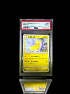 海で遊ぶピカチュウ ポケモンセンター 真夏のピカピカ大作戦 PSA9