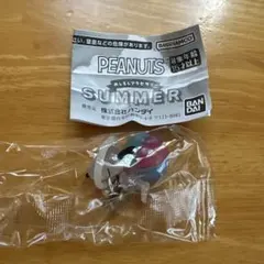 PEANUTS めじるしアクセサリー SUMMER スヌーピーB