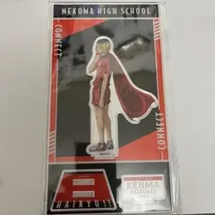 ハイキュー　アクリルスタンド　挑戦者たち　 孤爪研磨