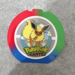 【ポケパーク限定】ピンズ ブースター ピンバッジ ブイズポケモン