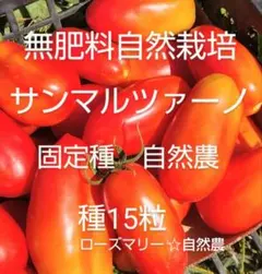 サンマルツァーノトマト　種15粒　無肥料自然栽培　自然農　固定種　自家採種
