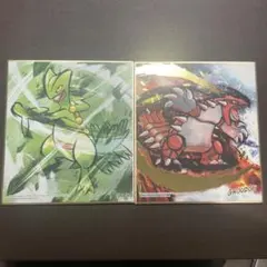 ポケモン グラードン ジュカイン　色紙 アート