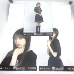 乃木坂46生写真　矢田萌華　13thバスラ　ライブT 3枚セット コンプ