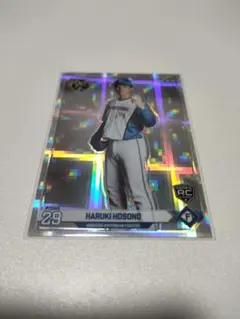 Item thumbnail for item b7cb792f-b7ef-48fa-b719-10ae489ffe2a