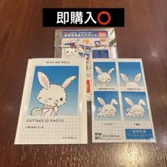 サンリオ 証明写真風スマロイド NG集 ウィッシュミーメル トレカ