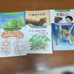 絵本セット 月刊　かがくのとも　2010年