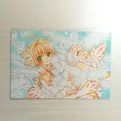 카드캡터 체리 木之本桜 さくら ポストカード