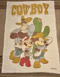 【新品未使用】ディズニー ハーフ毛布 ブランケット
