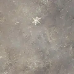 Item thumbnail for item 3d767a15-93d5-4128-b042-20050acefc88