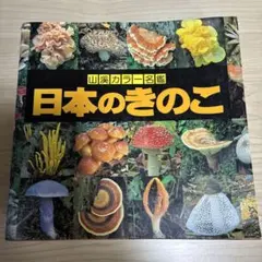 【貴重・絶版】山溪カラー名鑑 日本のきのこ（1990年版） 貴重・絶版】山溪カラー名鑑 日本のきのこ（1990年版） - メルカリ