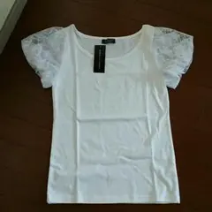 Item thumbnail for item 14f0f550-7c48-4975-be70-6f7e9ce599d9