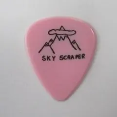 デヴィッド・リー・ロス・バンド マット・ビソネット 1988 ギターピック