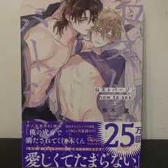 ロストバージン how to sex 上