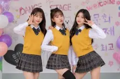 韓国制服 文化祭 即発送 ベスト コスプレ からし カラシ