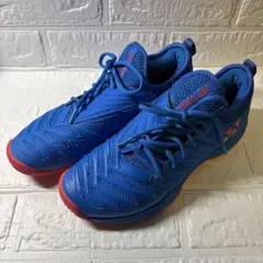 【美品】ヨネックス パワークッション ヒュージョンレブ3 オールコート 25.5