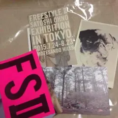 【新品】大野智フリースタイルⅡ ポストカード