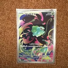 2026年最新】フシギダネARの人気アイテム - メルカリ