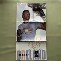 Item thumbnail for item e895df7b-7dc4-4390-bbbd-4f5131375fd4